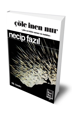 Çöle İnen Nur: Siyer-i Nebi’ye Şiirsel Yaklaşım